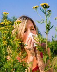 17_allergy_b-2145058