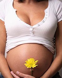 preg-6312720