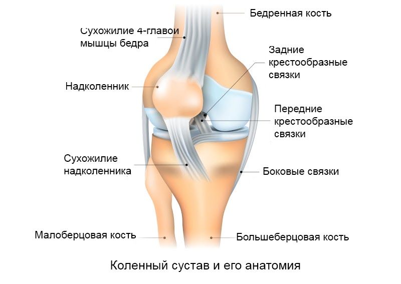 Заболевания коленных суставов